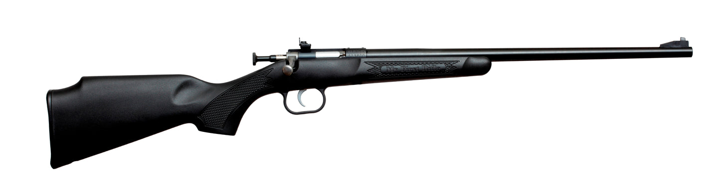 Keystone Sporting Arms Crickett .22MAG
