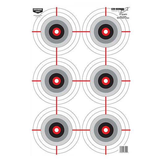 Birchwood Casey EZE-Scorer Bullseye 12" x 18" - 10 Targets