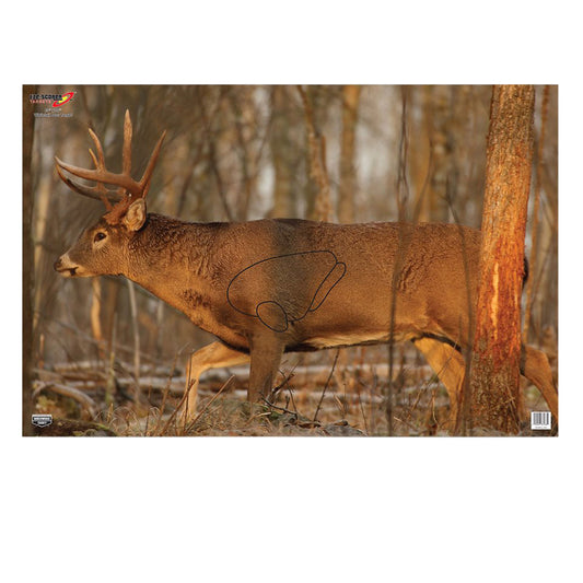 Birchwood Casey EZE-Scorer Whitetail Deer 23"x35" - 2 Targets