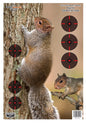 Birchwood Casey Squirrel 12" x 18" Impact Enhancement - 8 Targets