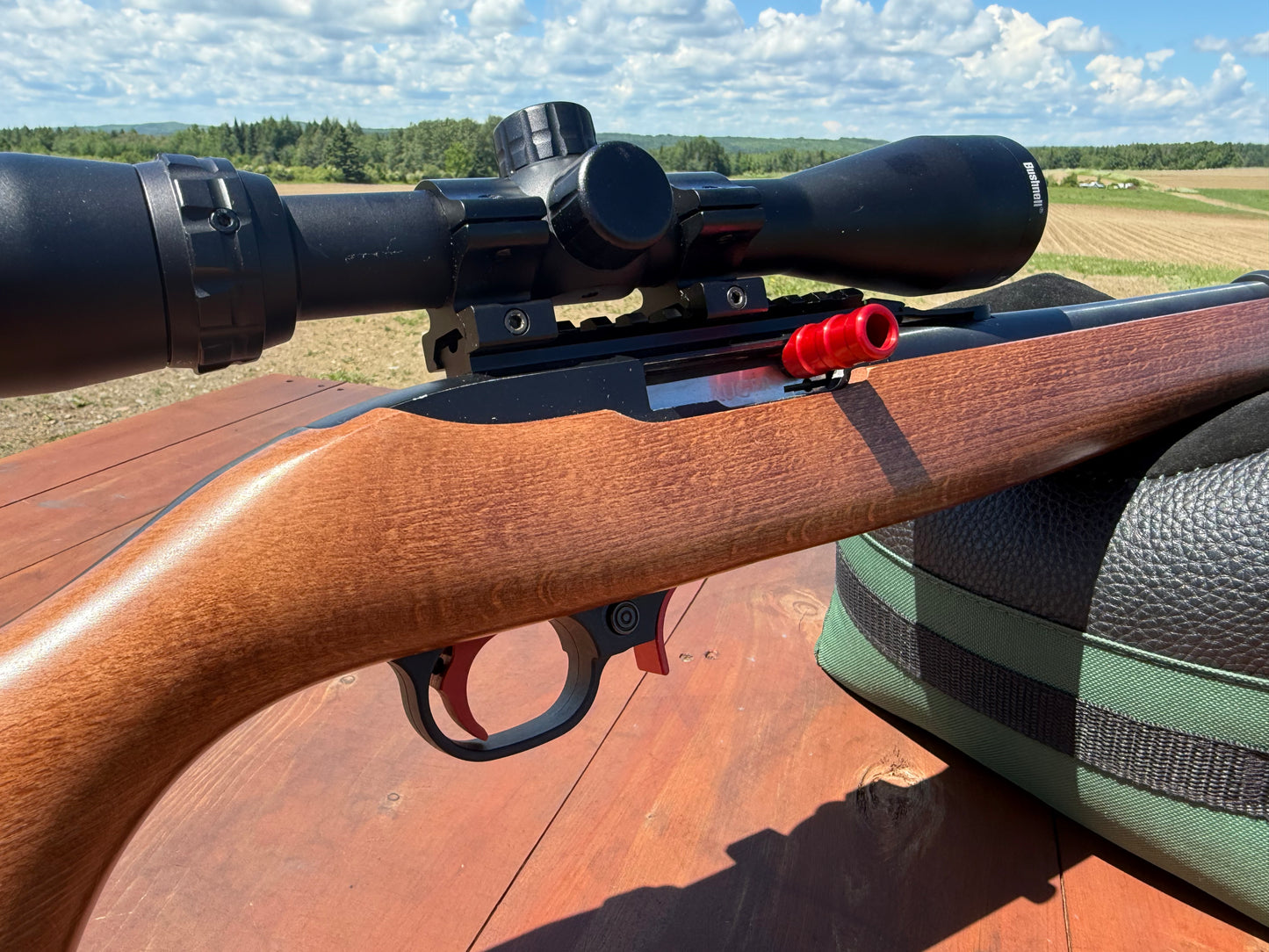 USED Ruger 10/22 .22LR W/Timney Trigger & Bushnell Scope